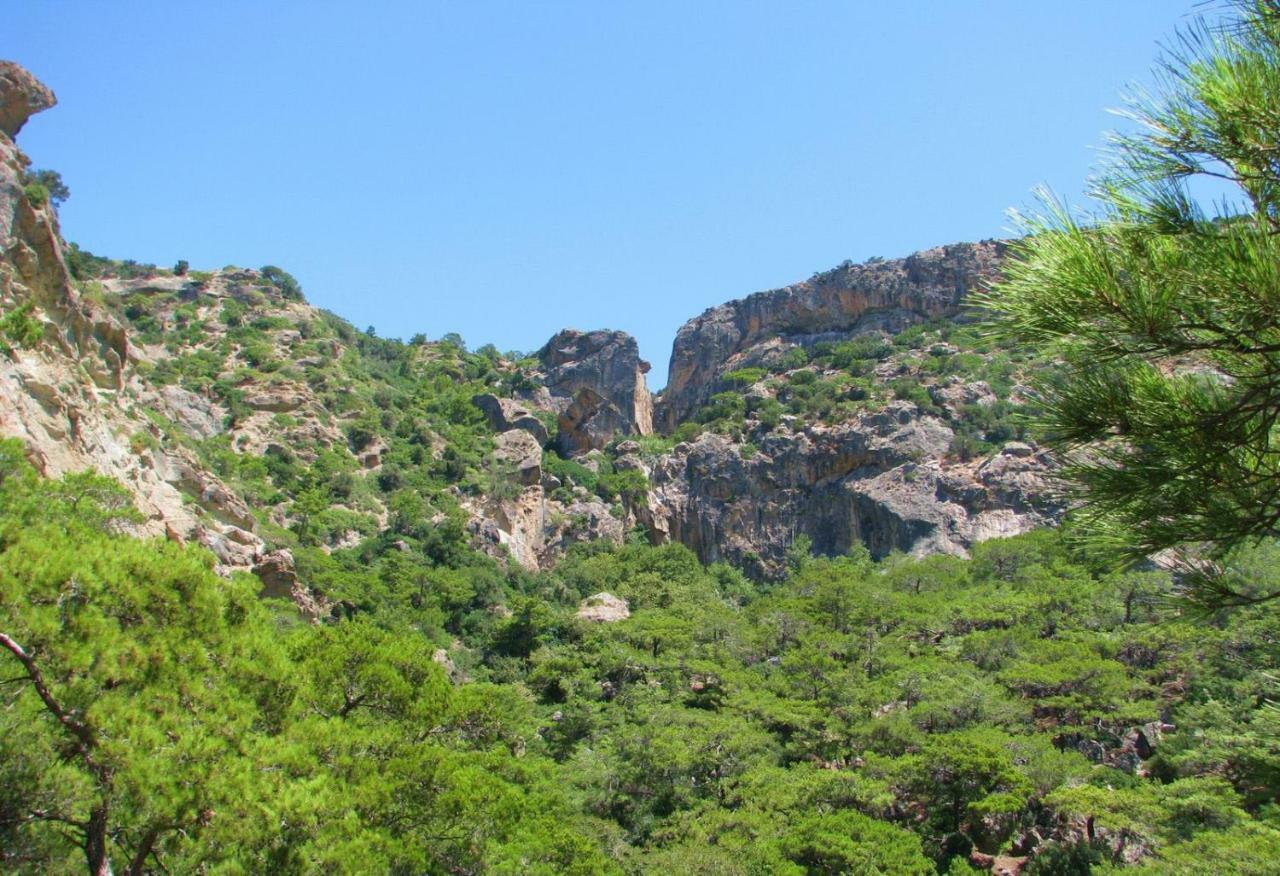 Villa Kalliopi Кутсунари Экстерьер фото